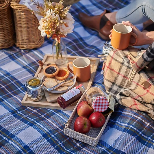 Waterproof Picnic Blanket